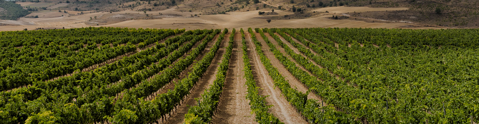 Miros De Ribera, Bodegas Penafiel, Ribera del Duero